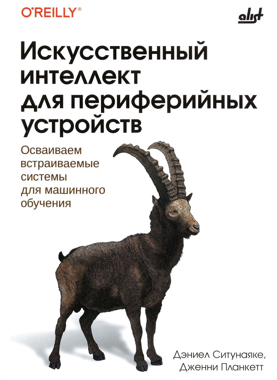 Искусственный_интеллект_для_периферийных_устройств_Дженни_Планкетт