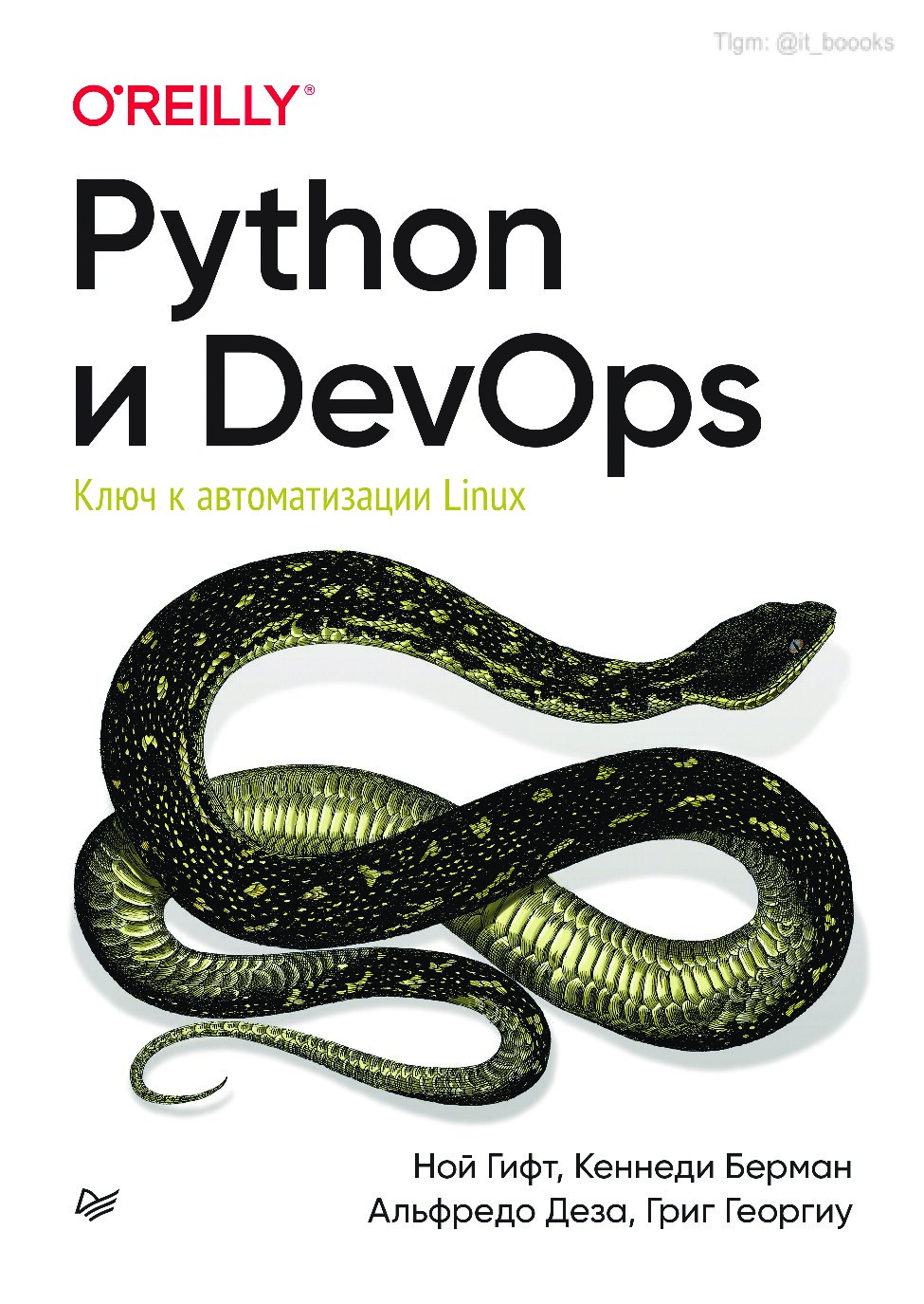 dokumen.pub_python-devops-linux-9785446129294-9781492057697